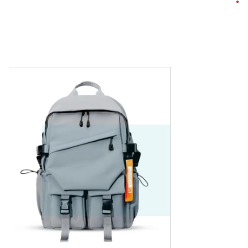 Zebra Fashionable Laptop and Travelling Backpack Gray SZ005