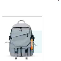 Zebra Fashionable Laptop and Travelling Backpack Gray SZ005